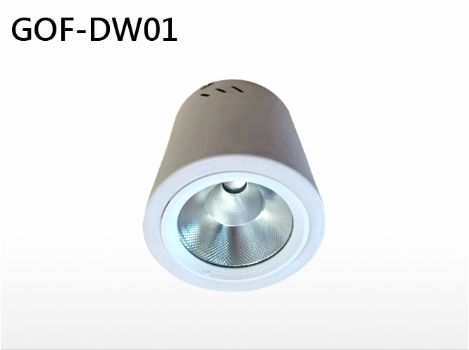 *GOF-DW01 吸頂式桶燈 13-30W