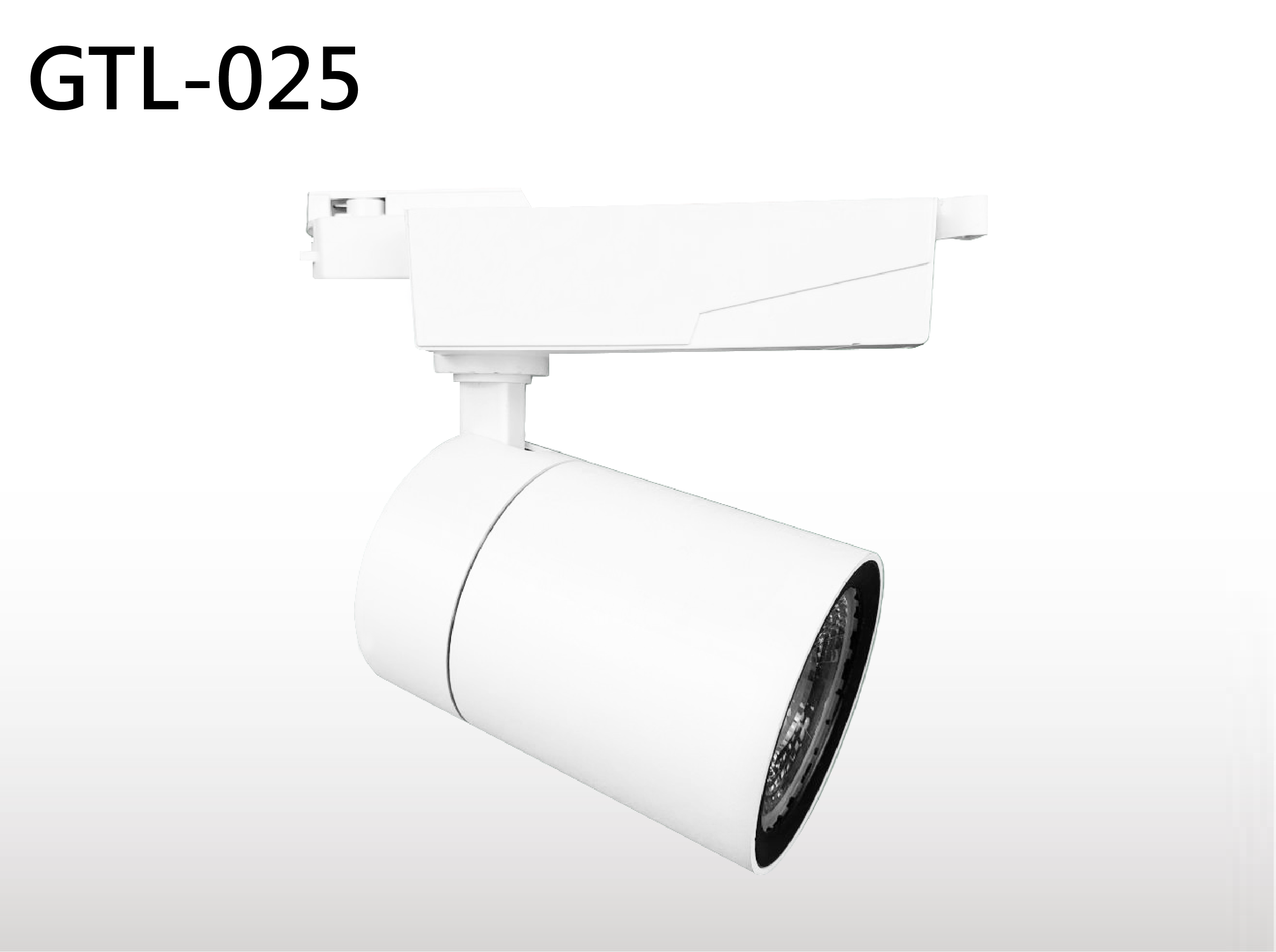 GTL-025 軌道燈 30W